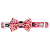 Dog Collar and Bow Tie Lil Devil Red Stars Flames Hearts