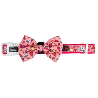 Dog Collar and Bow Tie Lil Devil Red Stars Flames Hearts