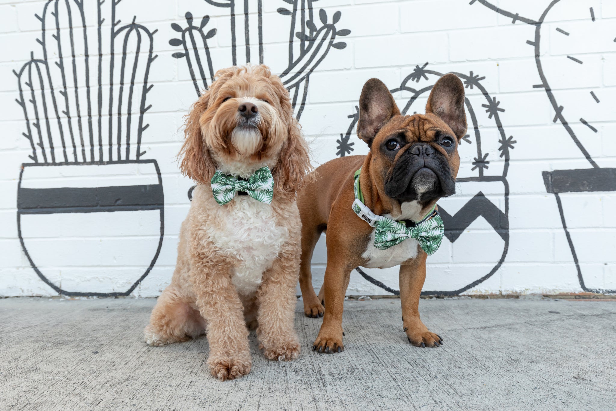 Dog Comfort Collar and Bow Tie Lost In Paradise Palms