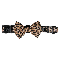 Dog Collar and Bow Tie Luxurious Leopard