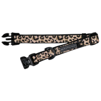 Dog Collar and Bow Tie Luxurious Leopard