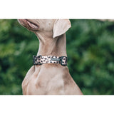 Dog Collar and Bow Tie Luxurious Leopard