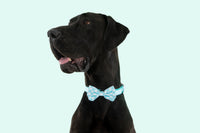 Dog Collar and Bow Time Mint Teal Green Blue Gingham