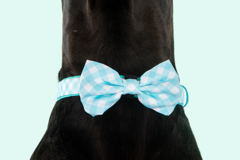Dog Collar and Bow Time Mint Teal Green Blue Gingham