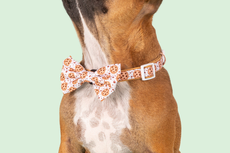 Dog Collar and Bow Tie One Cute Cookie