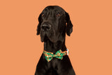 Dog Collar and Bow Tie Paw Paw Pawesome