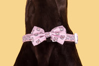 DOG COLLAR & BOW TIE: Piggin' Out {FINAL SALE}