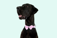 Dog Collar and Bow Time Pretty Pink Gingham