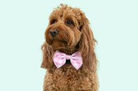 Dog Collar and Bow Time Pretty Pink Gingham