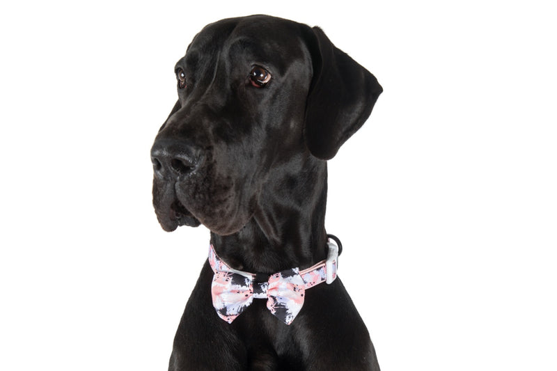 Dog Collar and Bow Tie Peach Splatter Terrazzo