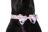 Dog Collar and Bow Tie Peach Splatter Terrazzo