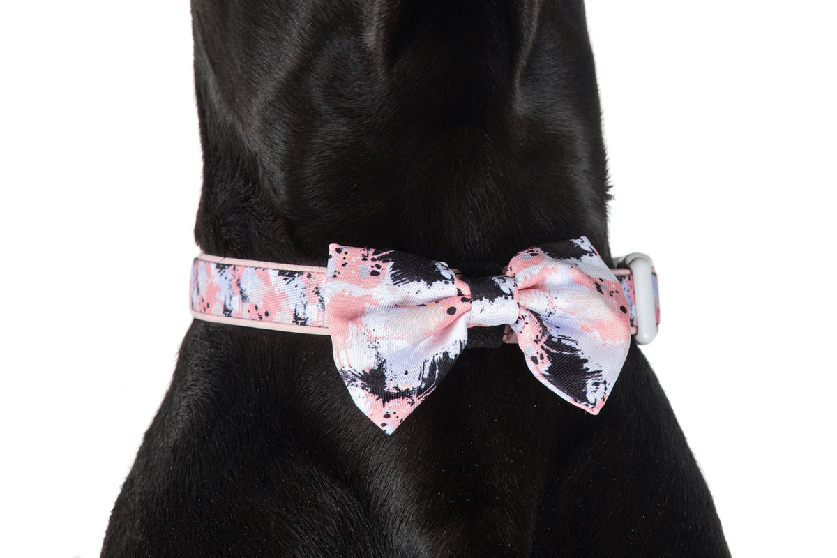 Dog Collar and Bow Tie Peach Splatter Terrazzo