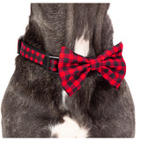 Dog Collar and Bow Tie Plaid to the Bone Red and Black Plaid