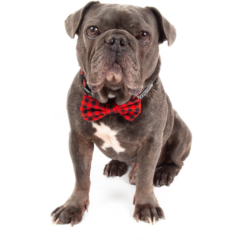 Dog Collar and Bow Tie Plaid to the Bone Red and Black Plaid