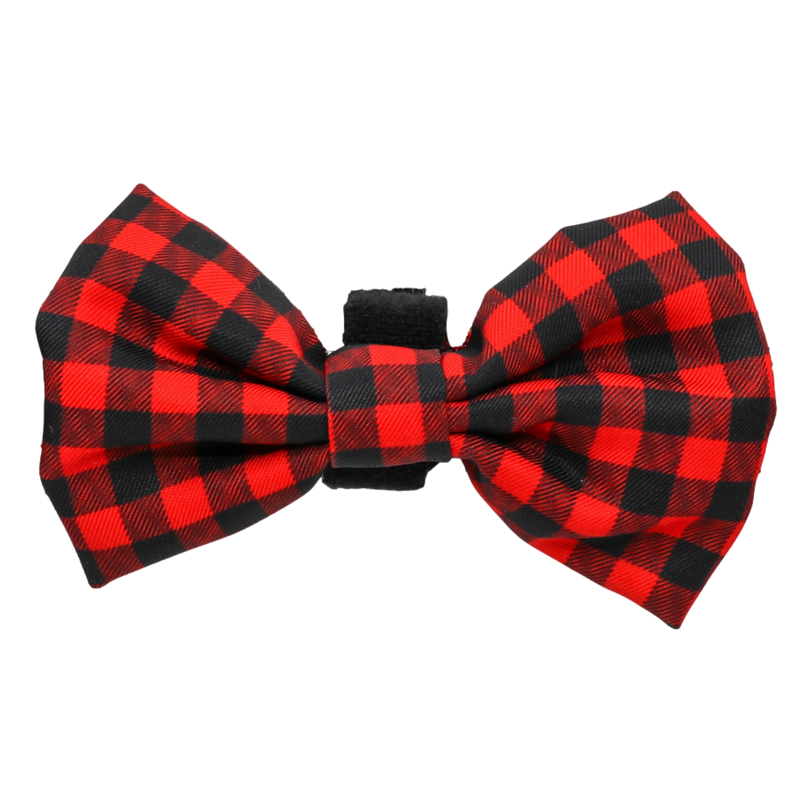 Dog bone online bow tie
