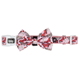 Dog Collar and Bow Tie Pretty Lil Butterfly Wings Pink Red White