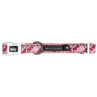 Dog Collar and Bow Tie Pretty Lil Butterfly Wings Pink Red White