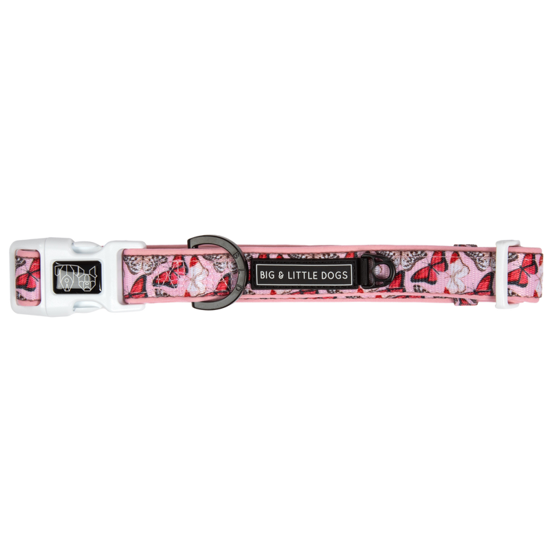 Dog Collar and Bow Tie Pretty Lil Butterfly Wings Pink Red White