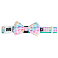 Dog Collar and Bow Tie Rainbow Gingham