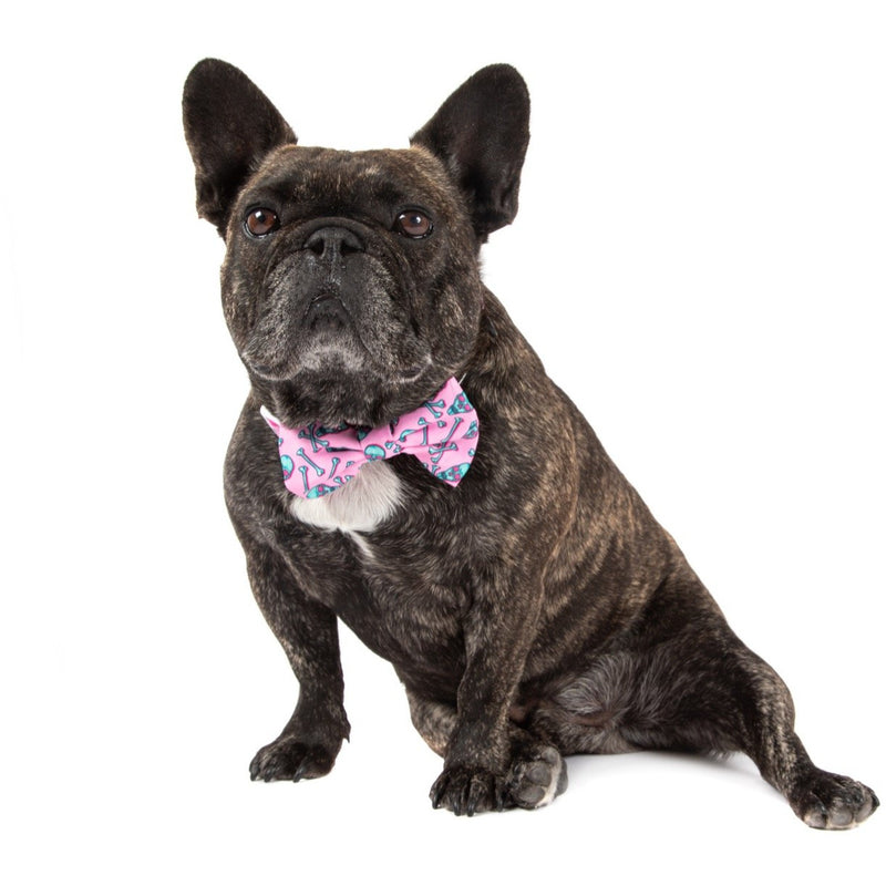 Dog Collar and Bow Tie Skull and Bones