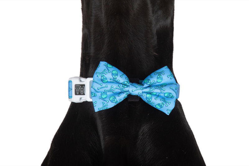 Dog Collar and Bow Tie Skull and Bones Blue Version