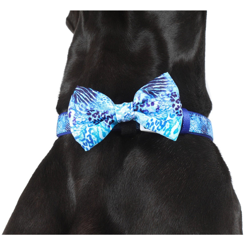 Dog Collar and Bow Tie Snakeskin