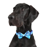 Dog Collar and Bow Tie Snakeskin