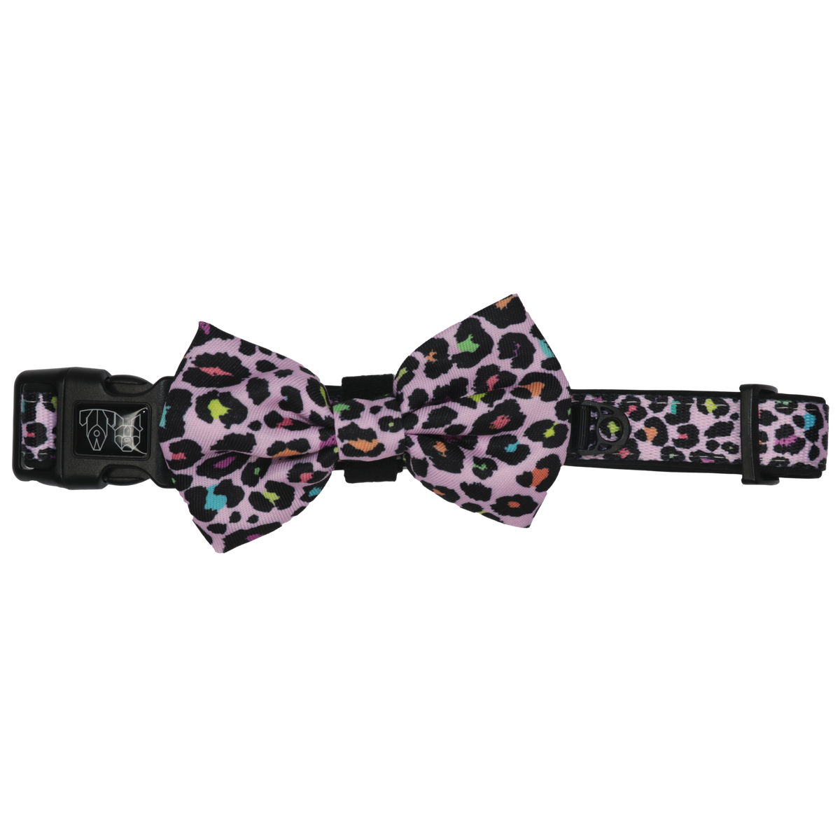 DOG COLLAR & BOW TIE: Spotted Leopard {FINAL SALE}