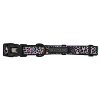 DOG COLLAR & BOW TIE: Spotted Leopard {FINAL SALE}
