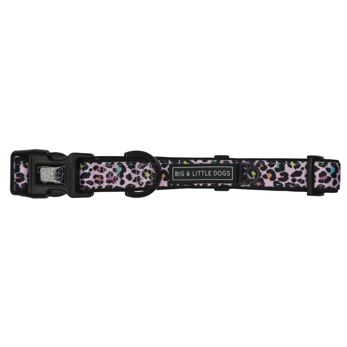 DOG COLLAR & BOW TIE: Spotted Leopard {FINAL SALE}