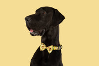 DOG COLLAR & BOW TIE: Sunny Vibes {FINAL SALE}