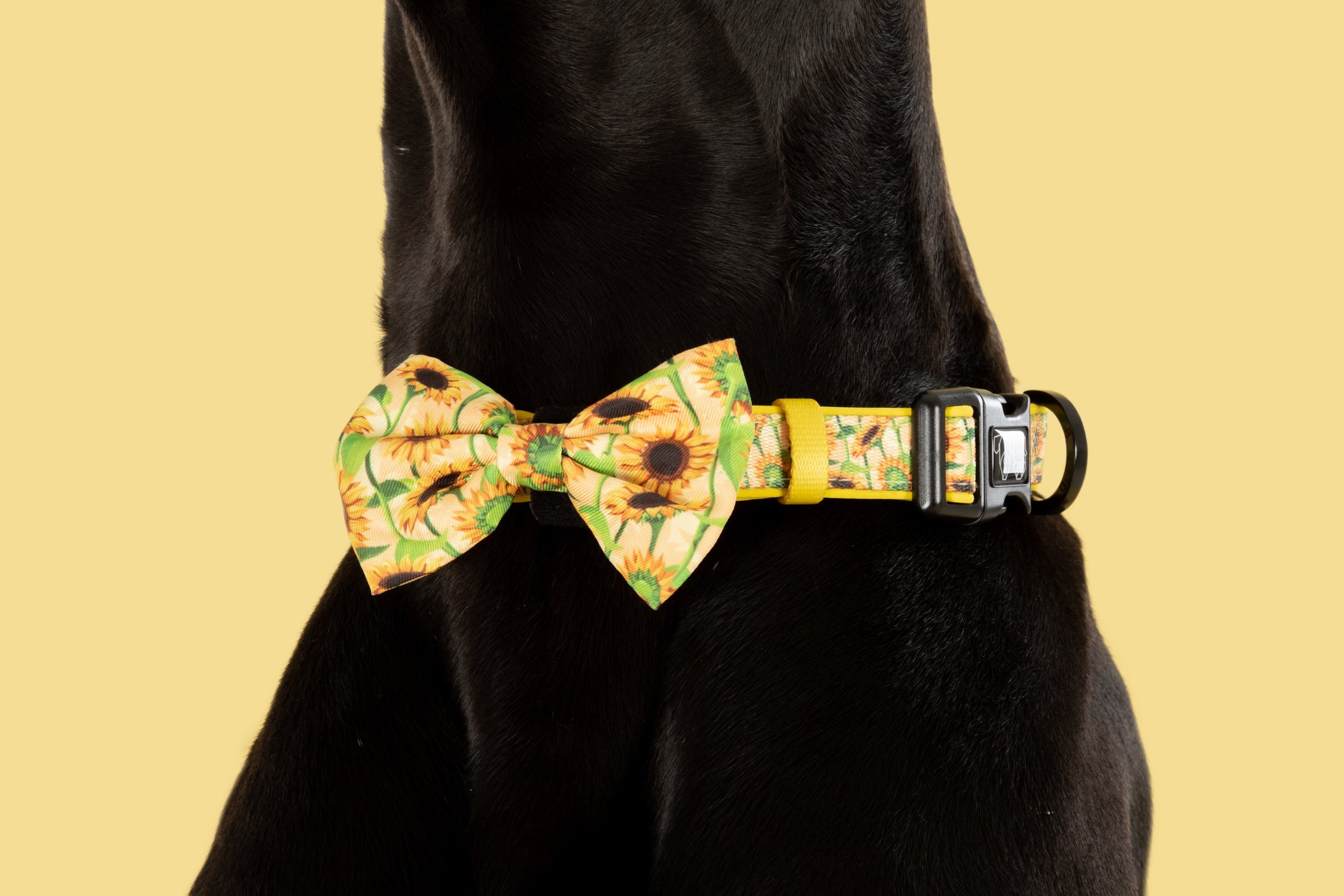 DOG COLLAR & BOW TIE: Sunny Vibes {FINAL SALE}