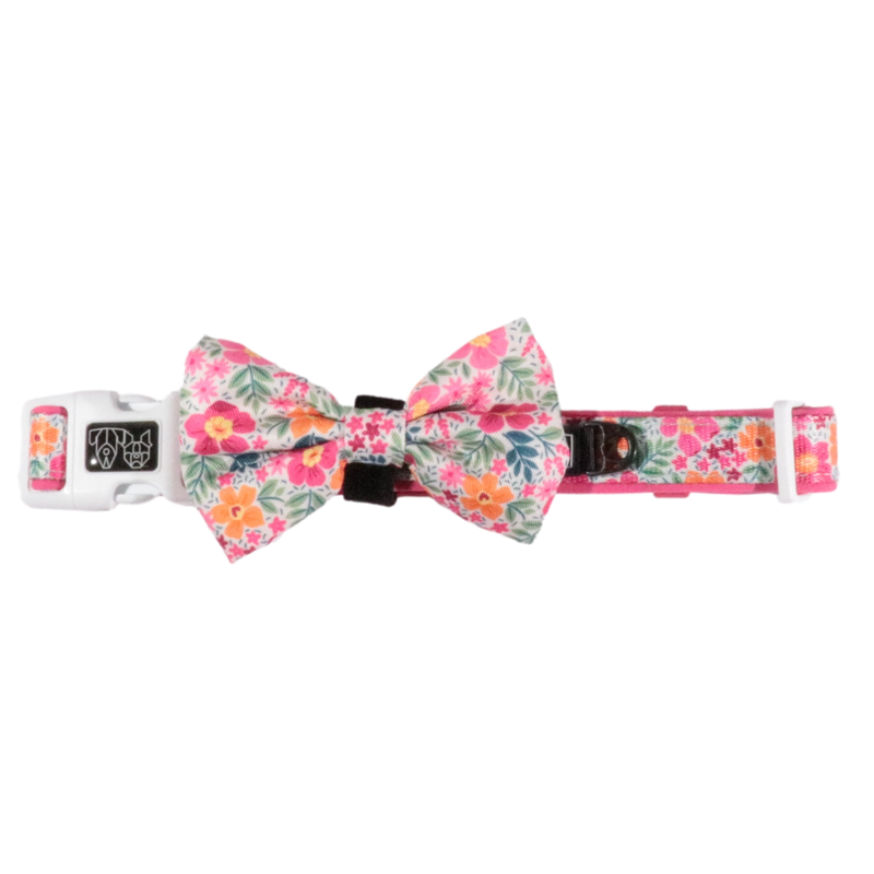 DOG COLLAR & BOW TIE: Sweet Blossoms {FINAL SALE}