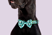 DOG COLLAR & BOW TIE: Toucan Do It {FINAL SALE}