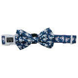 Dog Collar and Bow Tie Bite Me Blue Shark
