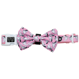 Dog Collar and Bow Tie Bite Me Pink Shark