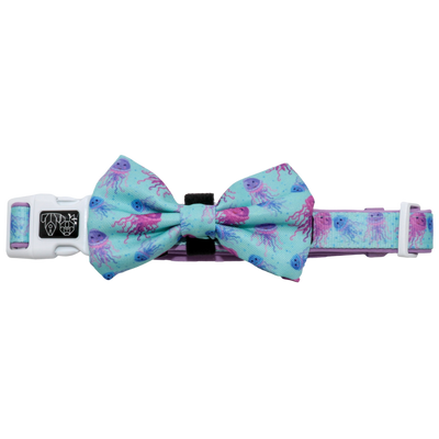 Dog Collar and Bow Tie Don't Be Jelly Jellyfish
