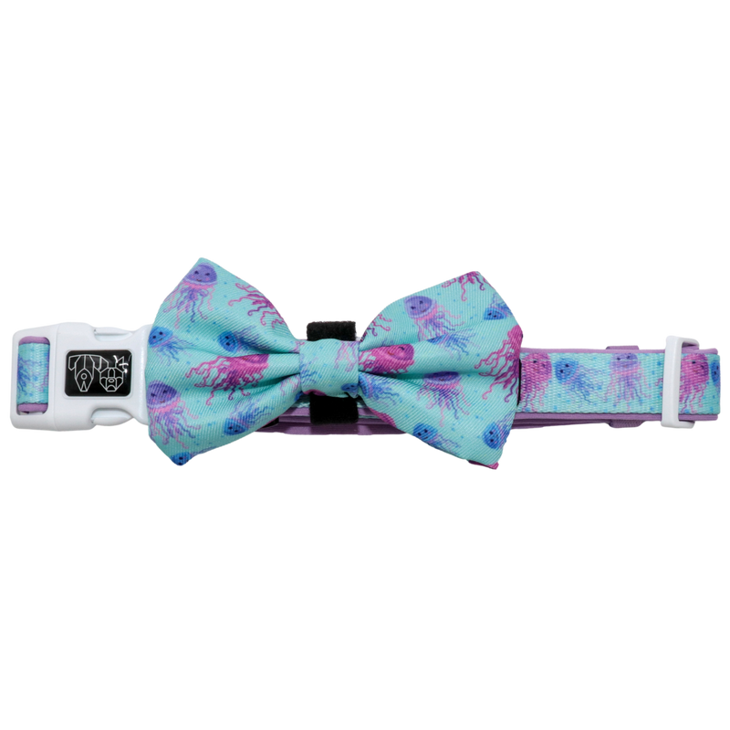Dog Collar and Bow Tie Don&