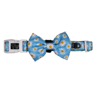 Dog Comfort Collar and Bow Tie Lazy Daisy