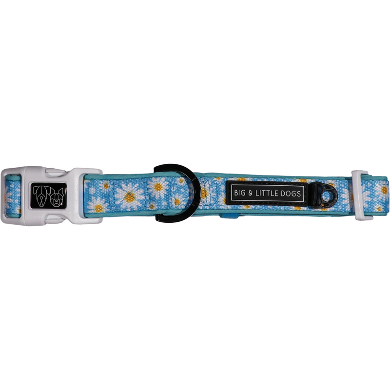 Dog Comfort Collar and Bow Tie Lazy Daisy