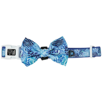 Dog Collar and Bow Tie Snakeskin