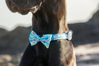 Dog Comfort Collar and Bow Tie You're A Catch