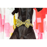 Dog Comfort Collar and Bow Tie Wild Thing Leopard