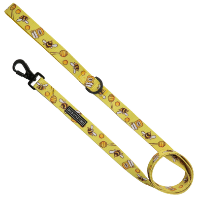 DOG LEASH and LEADS for Big & Small Dogs | BIG & LITTLE DOGS – Big ...