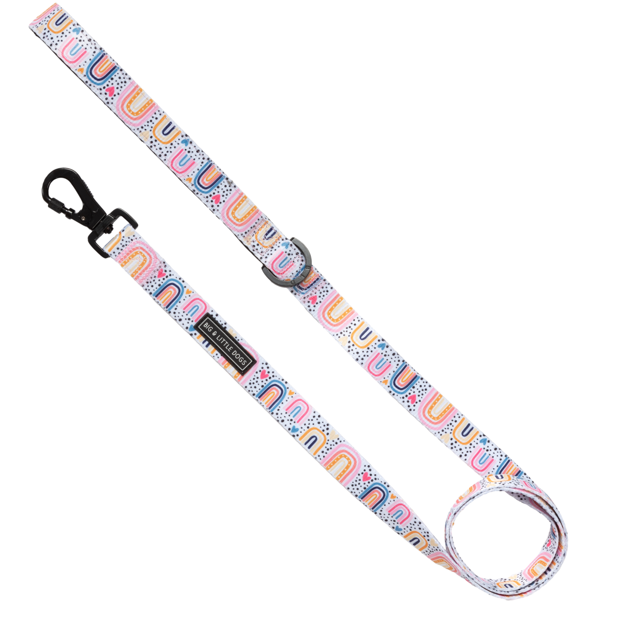 DOG LEASH: Chasing Rainbows {FINAL SALE}