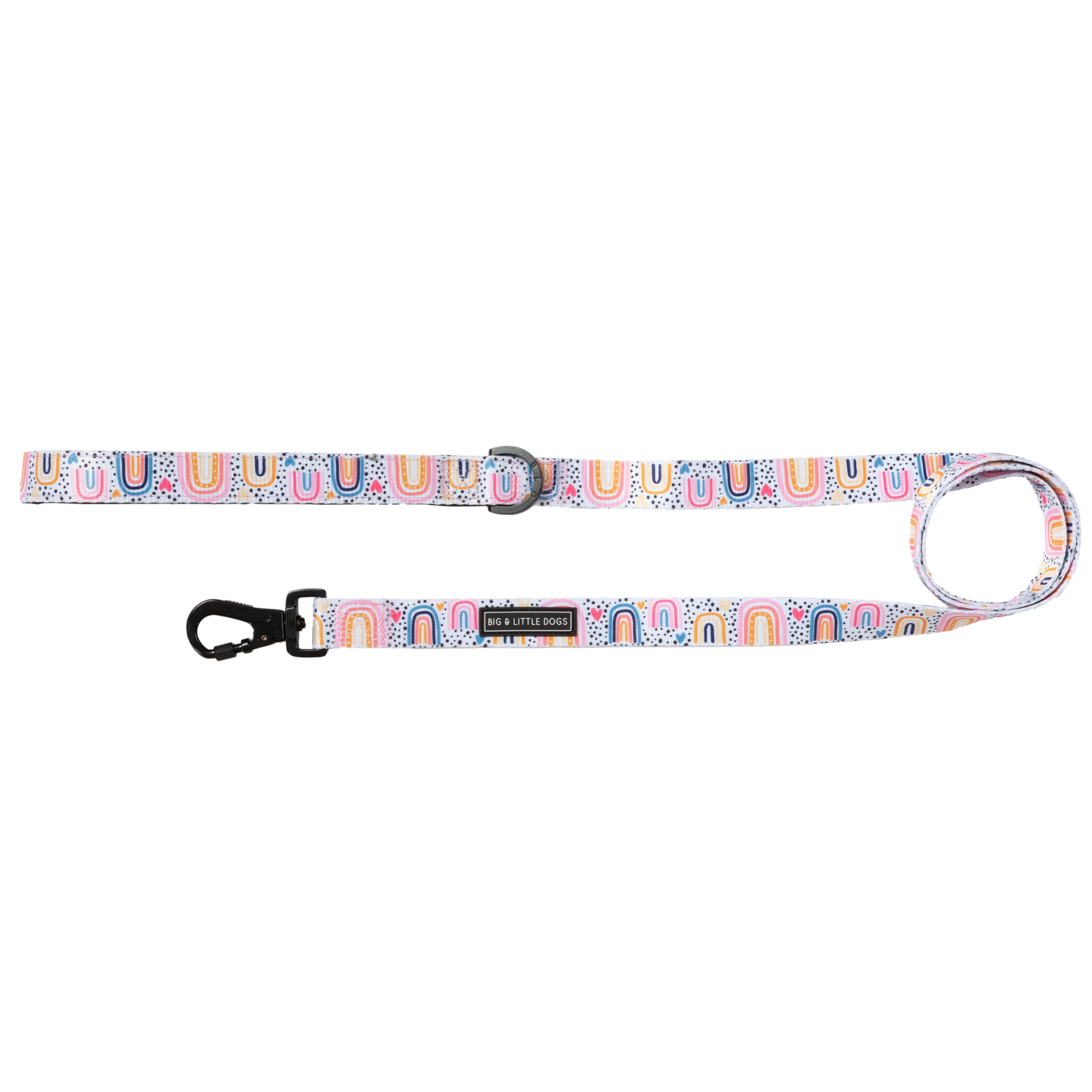 DOG LEASH: Chasing Rainbows {FINAL SALE}