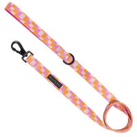 DOG LEASH: Check Yo'Self {FINAL SALE}