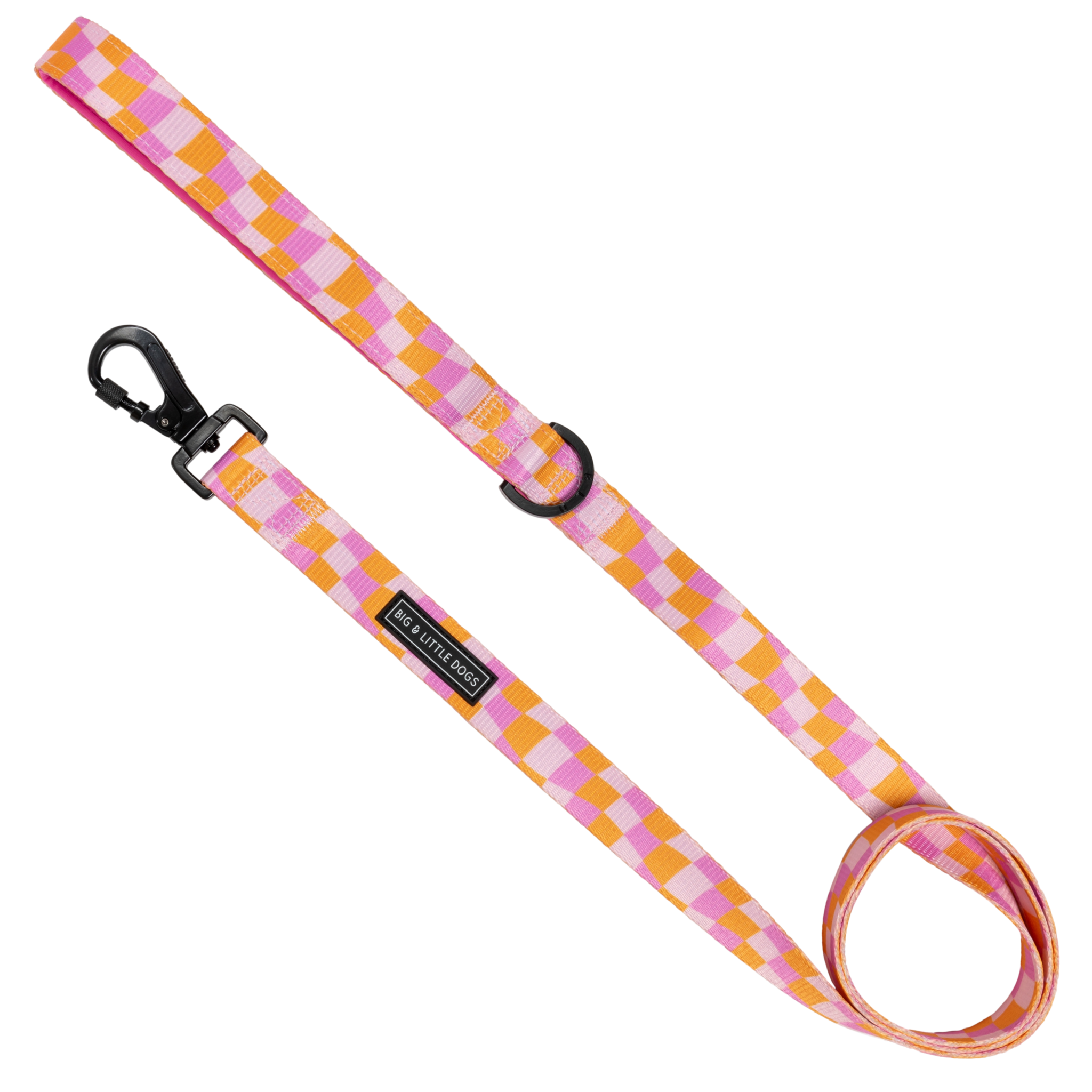 DOG LEASH: Check Yo'Self {FINAL SALE}