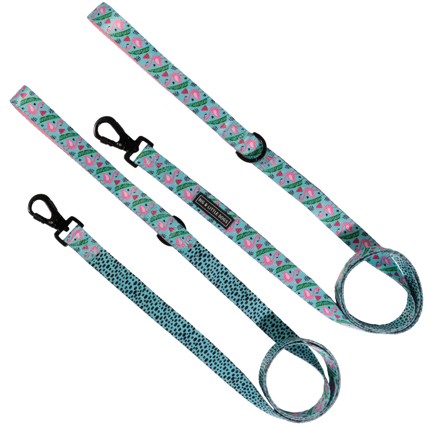 DOG LEASH: Flocking Fabulous {FINAL SALE}