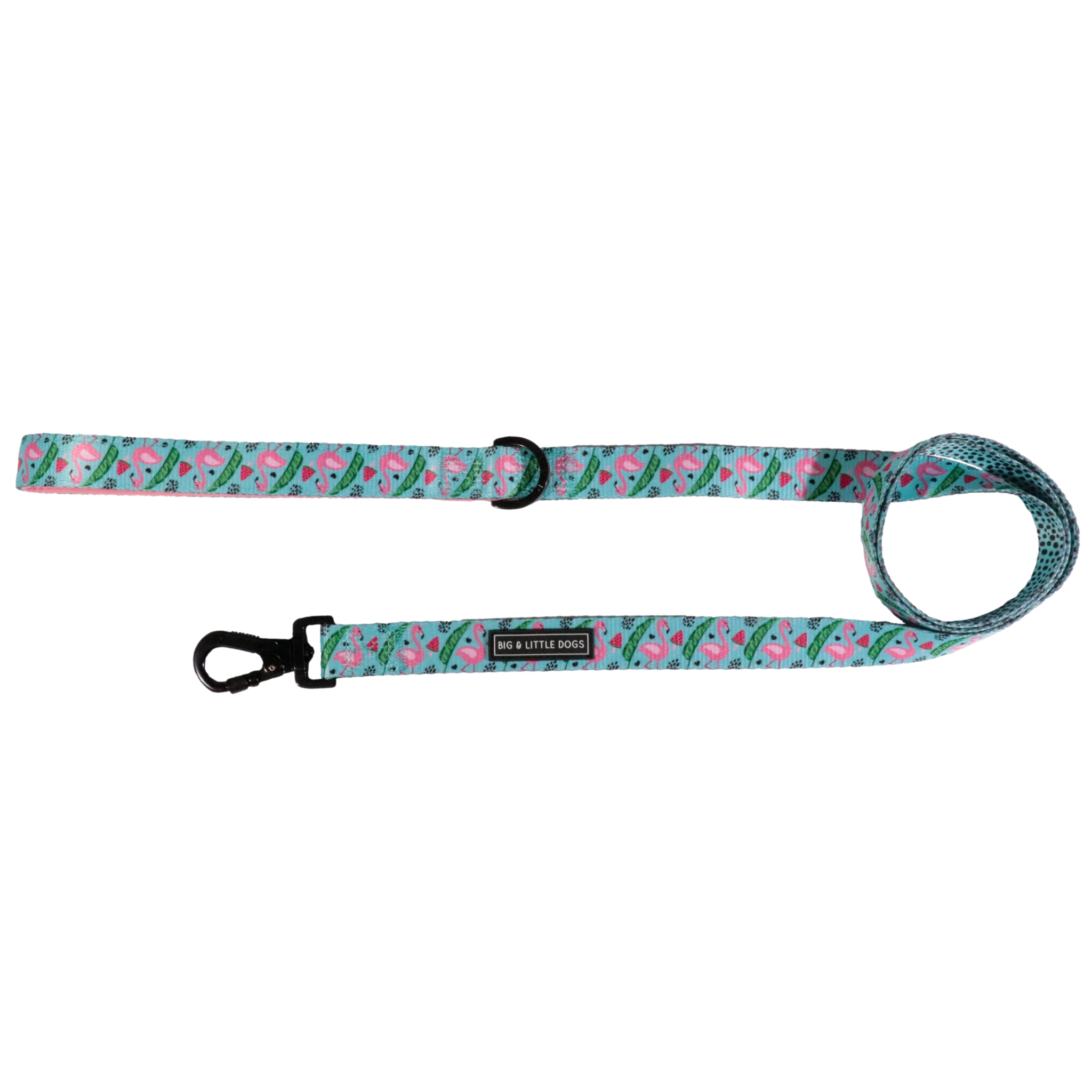 DOG LEASH: Flocking Fabulous {FINAL SALE}